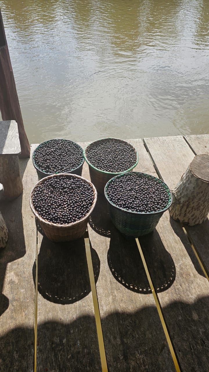 Cestos de açaí sobre trapiche à beira do rio